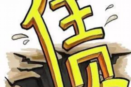 高密债务清欠服务